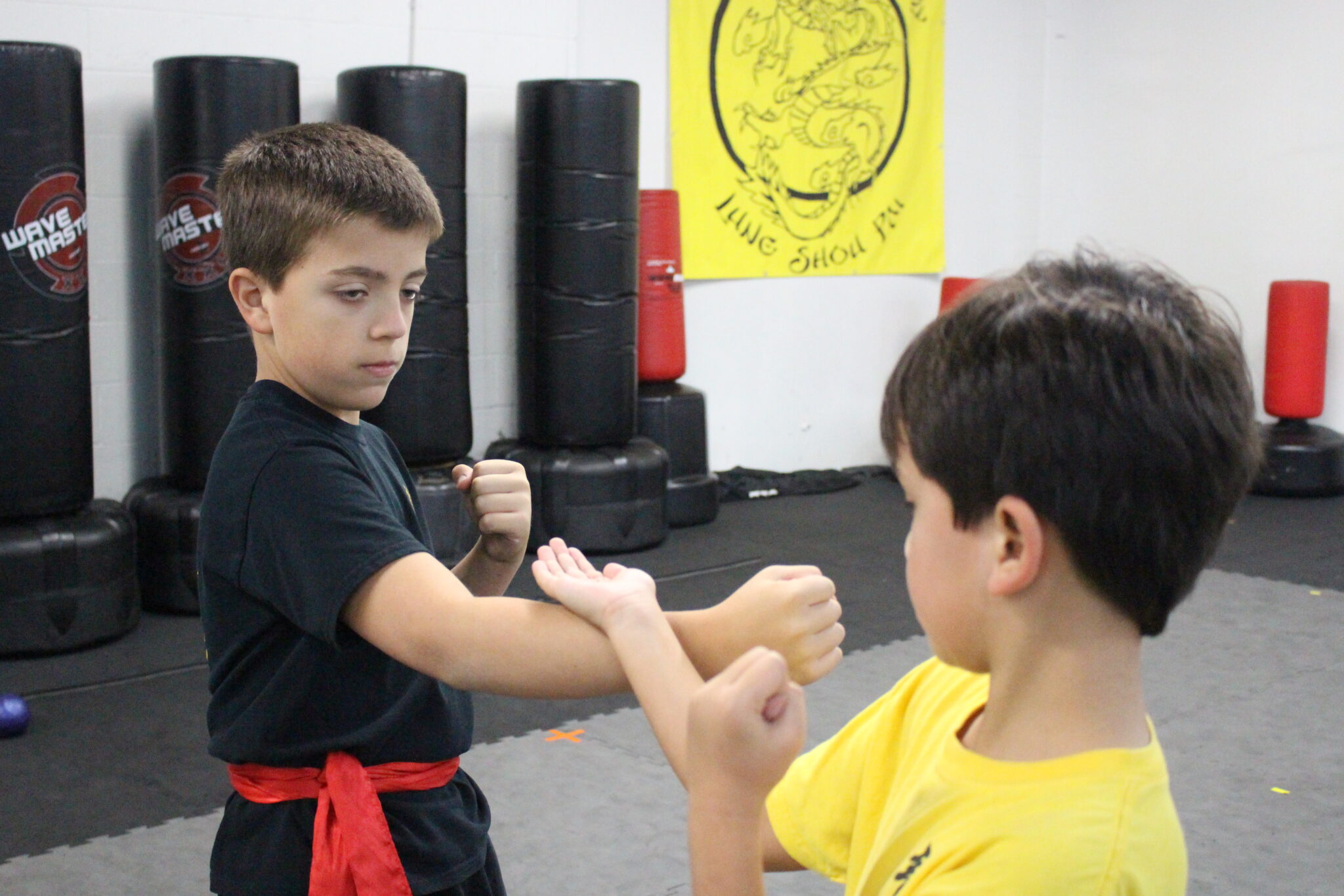 Dragon Claw Academy of Kung Fu Gallery Photo Number 2